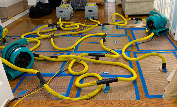 Professional Crawl Space Water Removal technician working in Montrose, MI